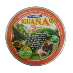 IGUANA VERDE